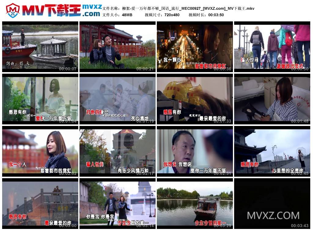 柳絮-爱一万年都不够_国语_流行_MEC00927